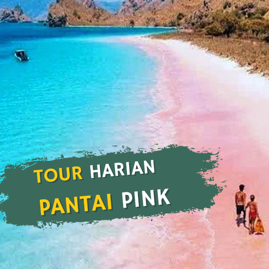 Trip Pantai Pink